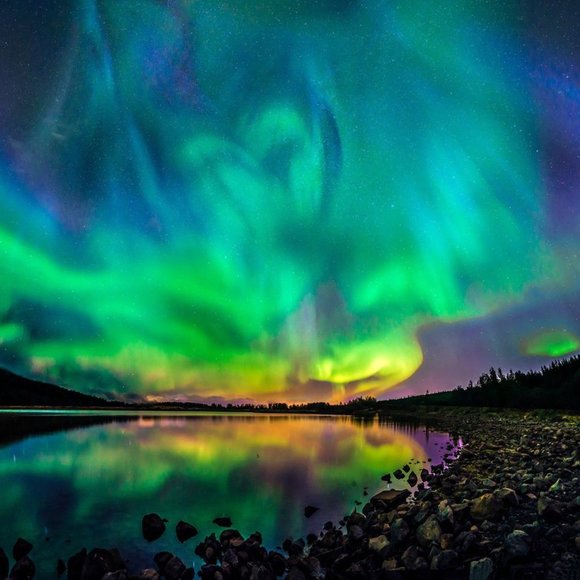 Meet your Posher, Bryan - Picture 2 of 13